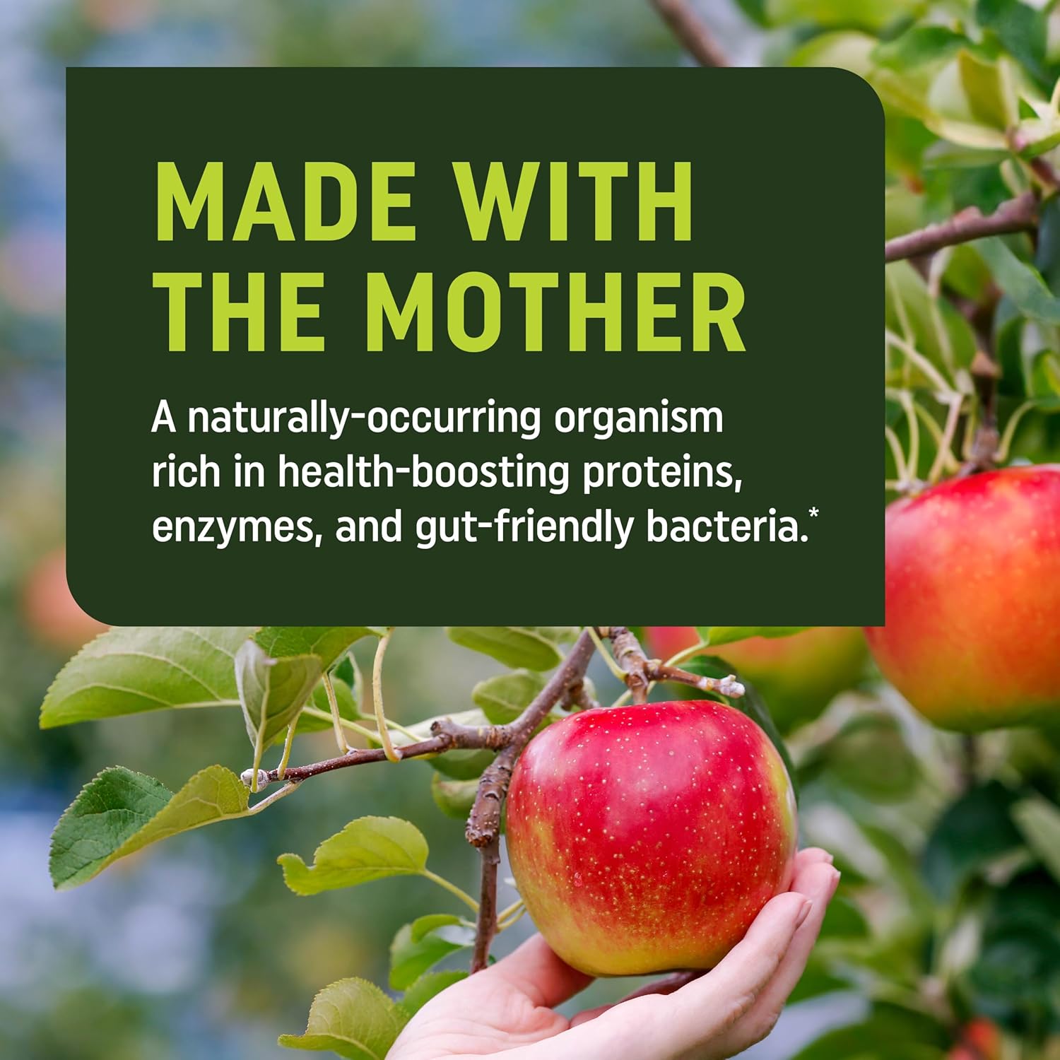 Metabolism Gummies with Apple Cider Vinegar | Energy, Digestion & Lean Body Mass Support | Apple Cider Vinegar Gummies with The Mother, B12 & Folate | Metabolism Support for Women & Men | 60 Ct. - Image 5